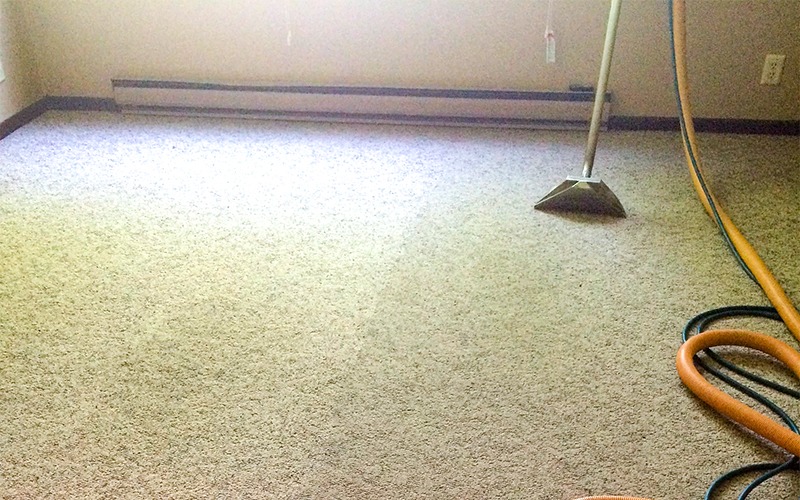 carpet with cleaning equipment leaning against wall